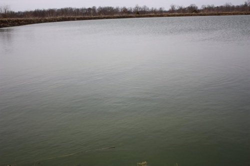 Property photo 20 - ABSOLUTE AUCTION - 298 Acres Offered in 4 Tracts